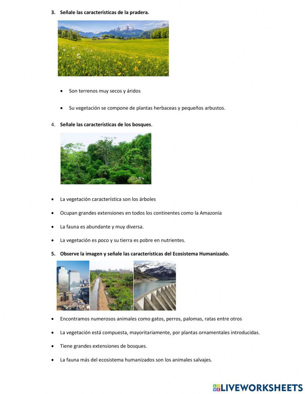 Ecosistemas para NEE