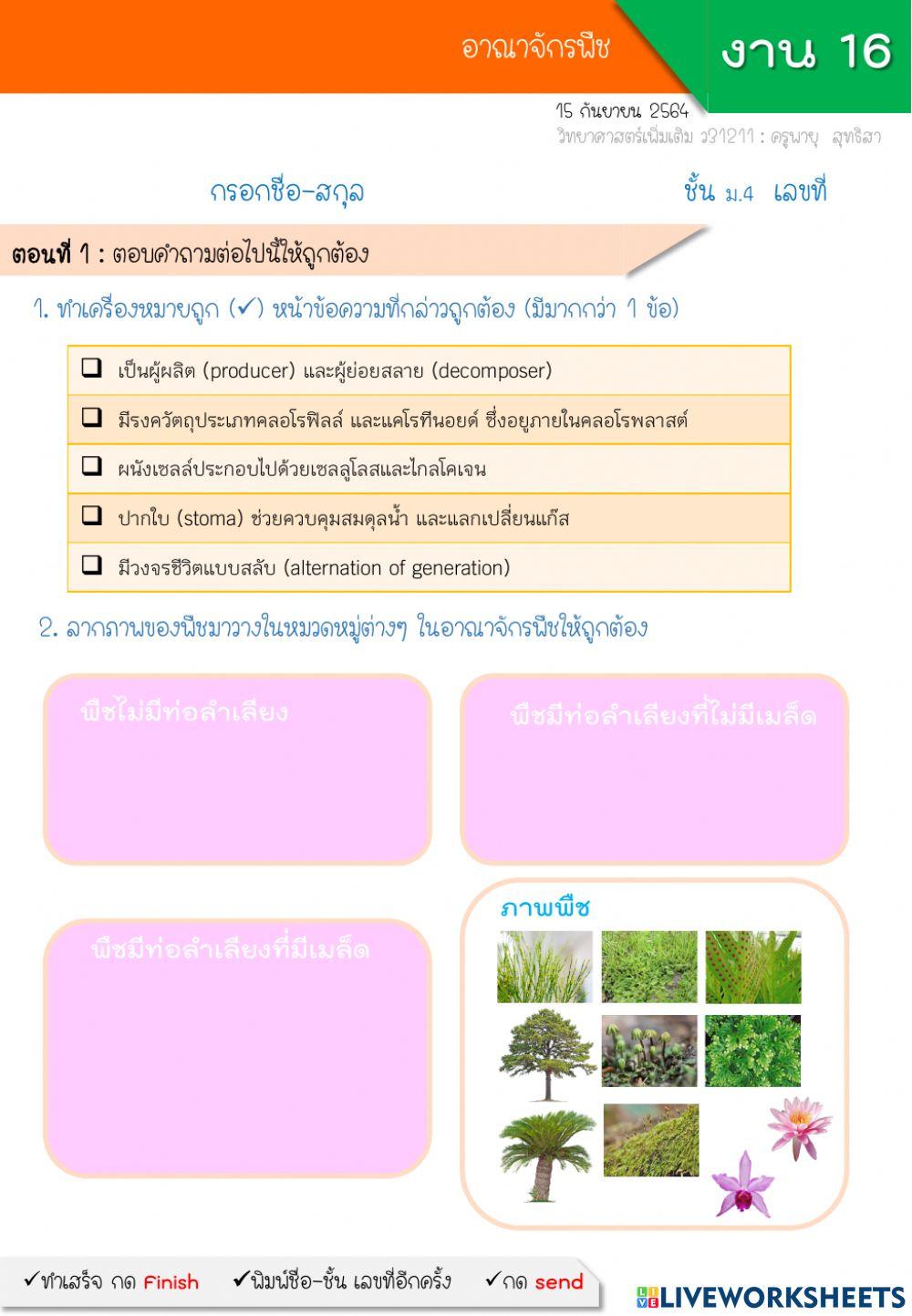 16-อาณาจักรพืช