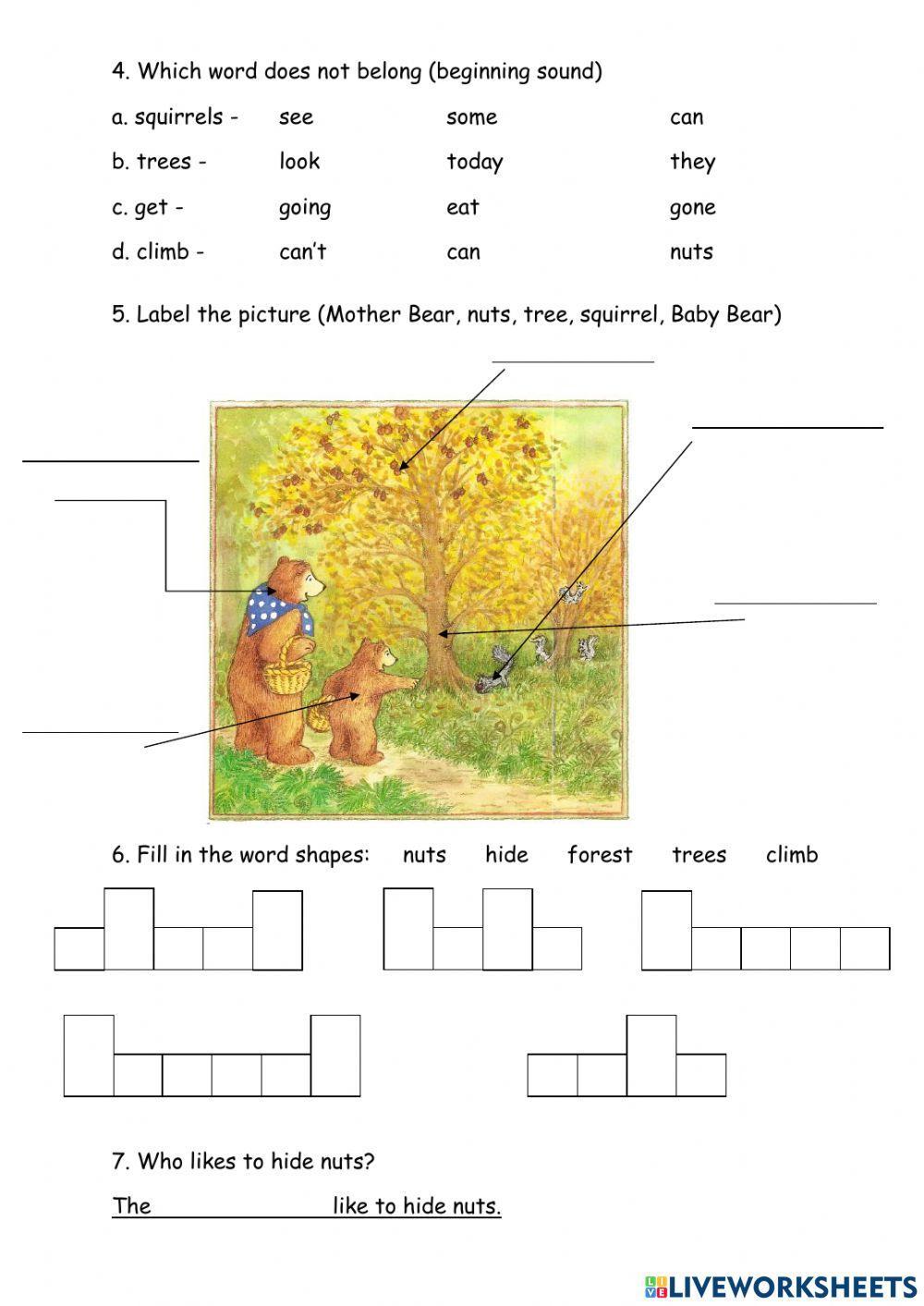 Baby Bear Climbs A Tree