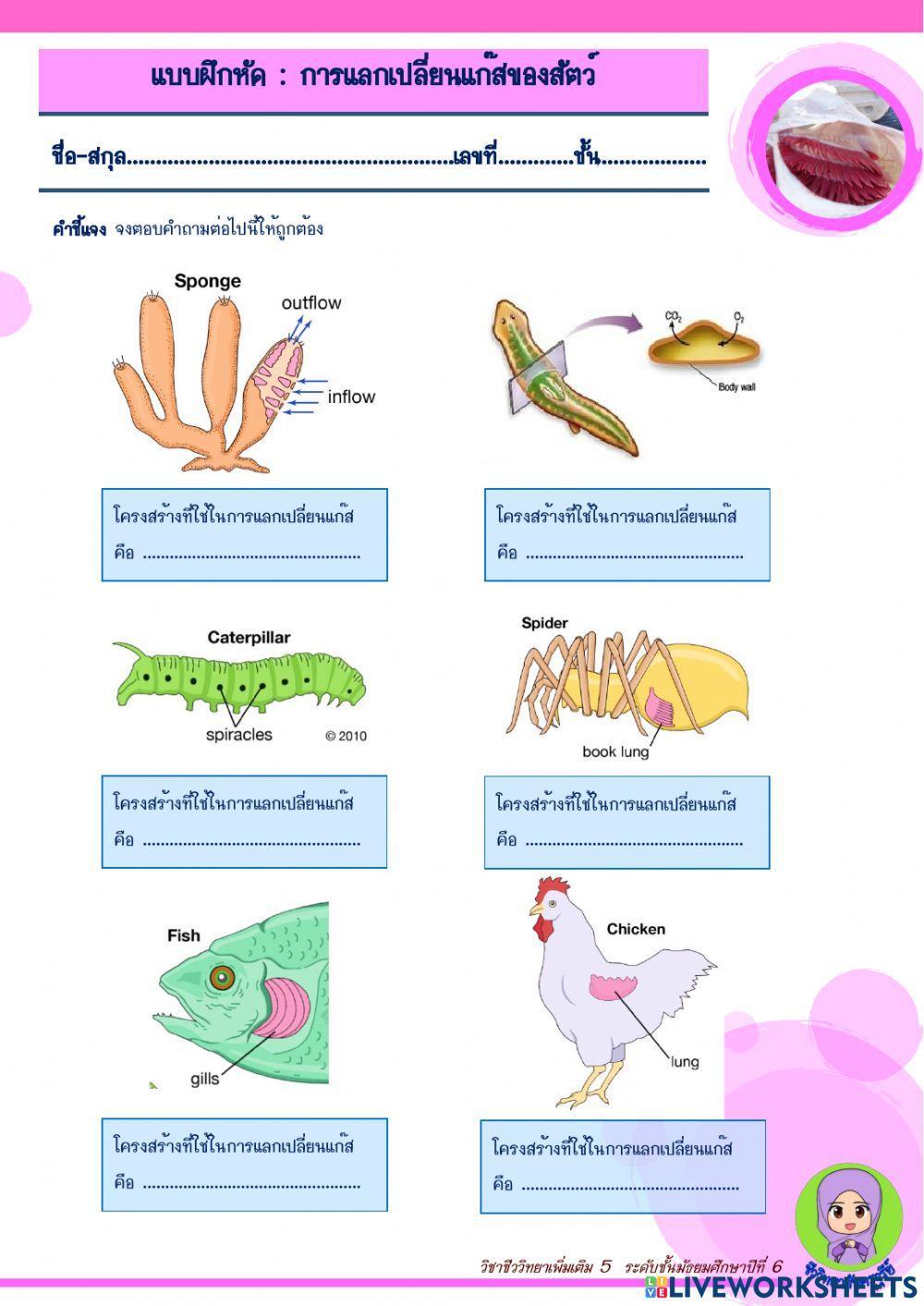 การแลกเปลี่ยนแก๊สของสัตว์