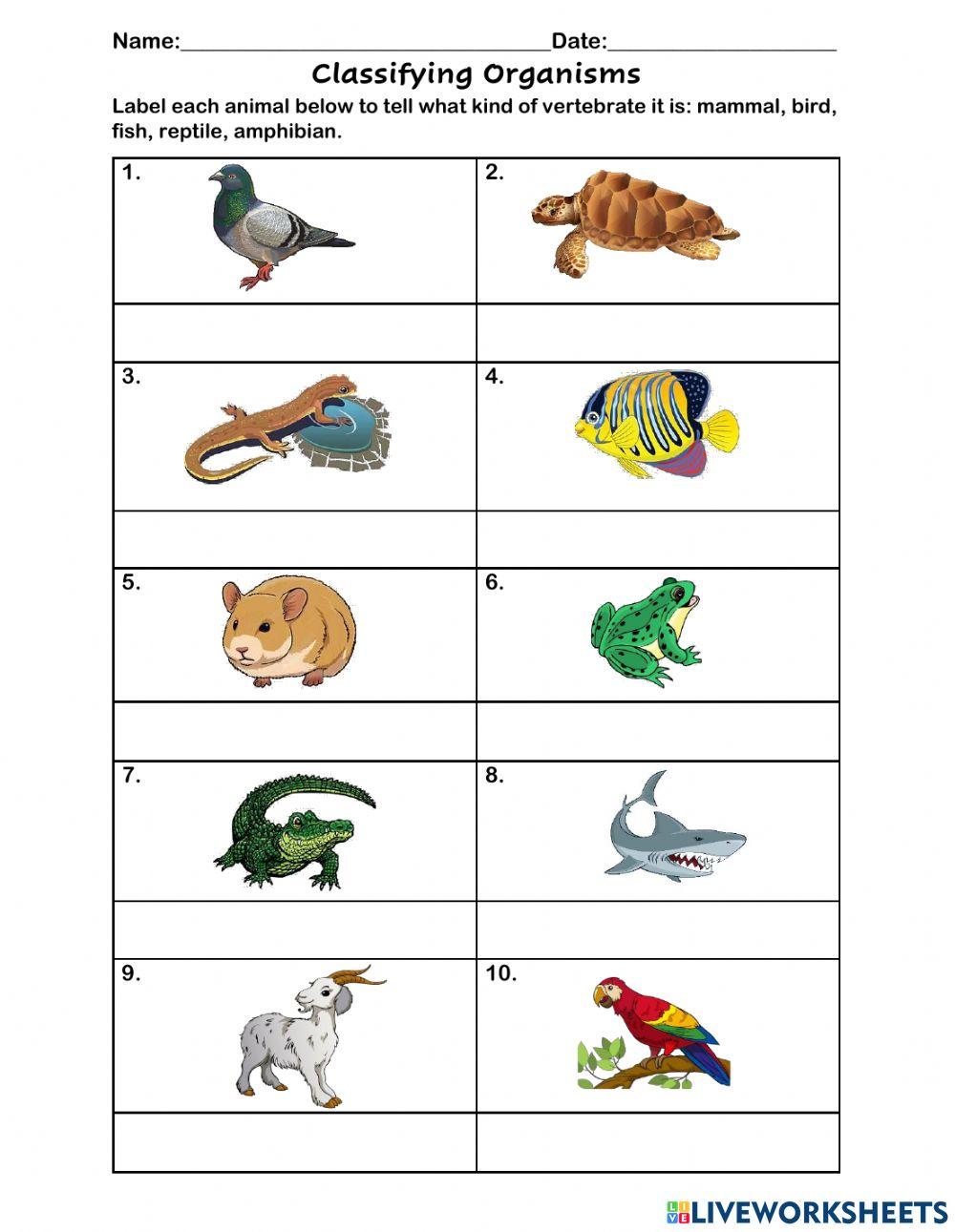 Classifying Organisms