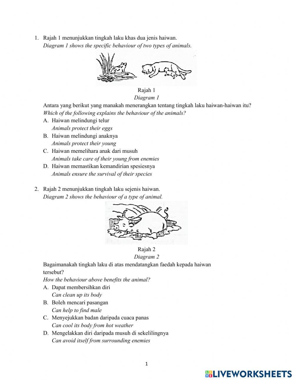 Soalan Kertas 1 Tahun 5