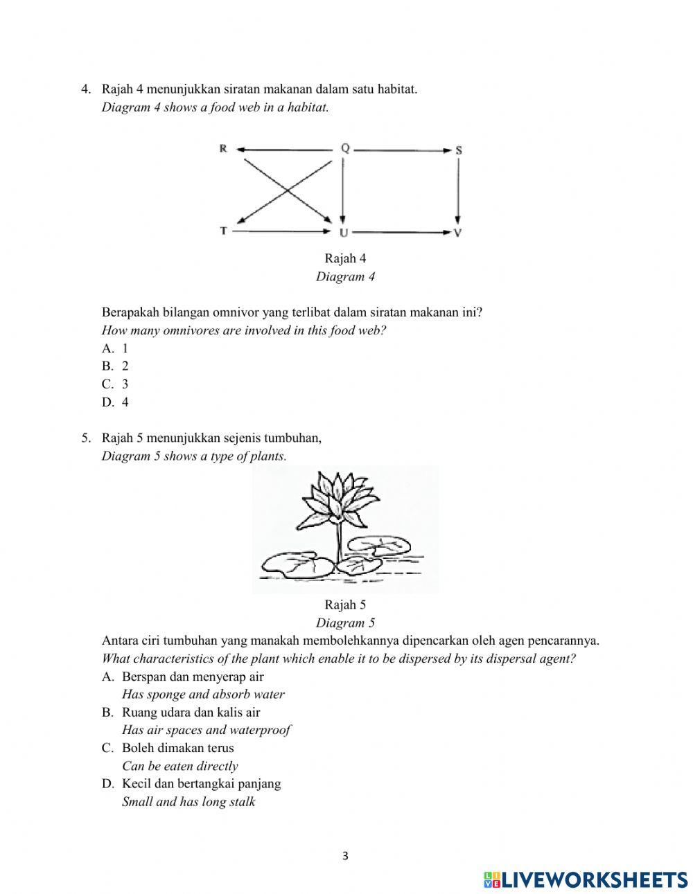 Soalan Kertas 1 Tahun 5