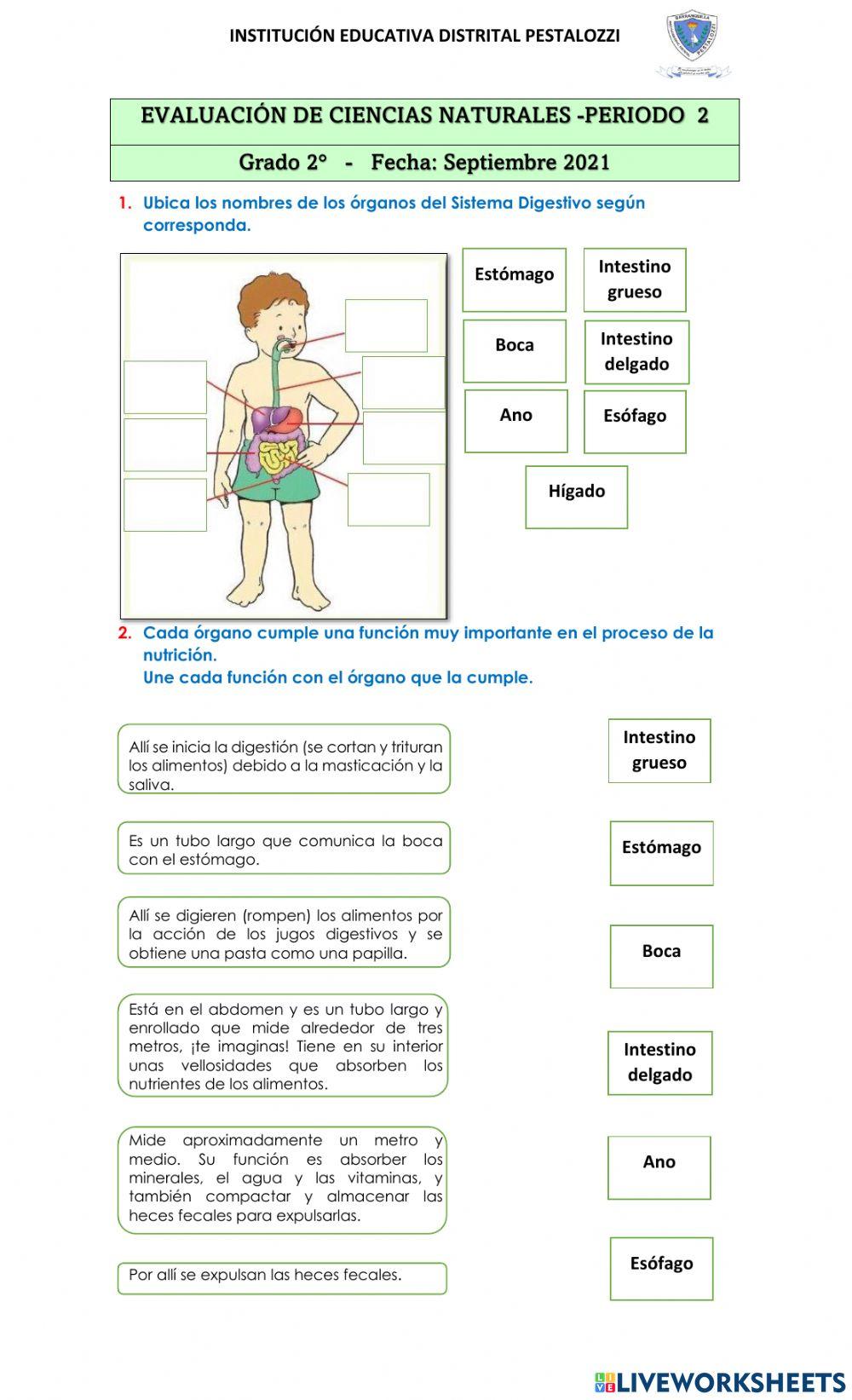 Proceso de nutrición  y alimentación