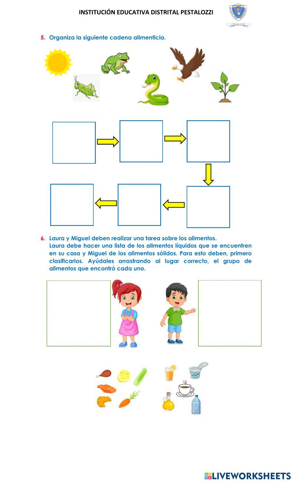 Proceso de nutrición  y alimentación