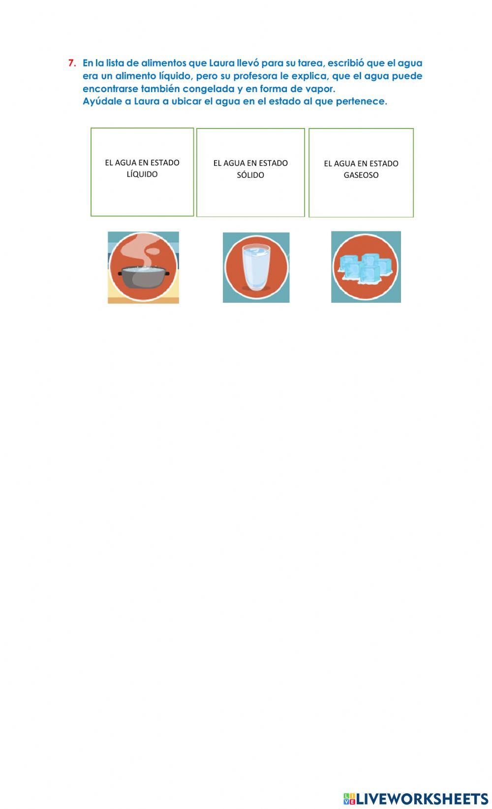 Proceso de nutrición  y alimentación