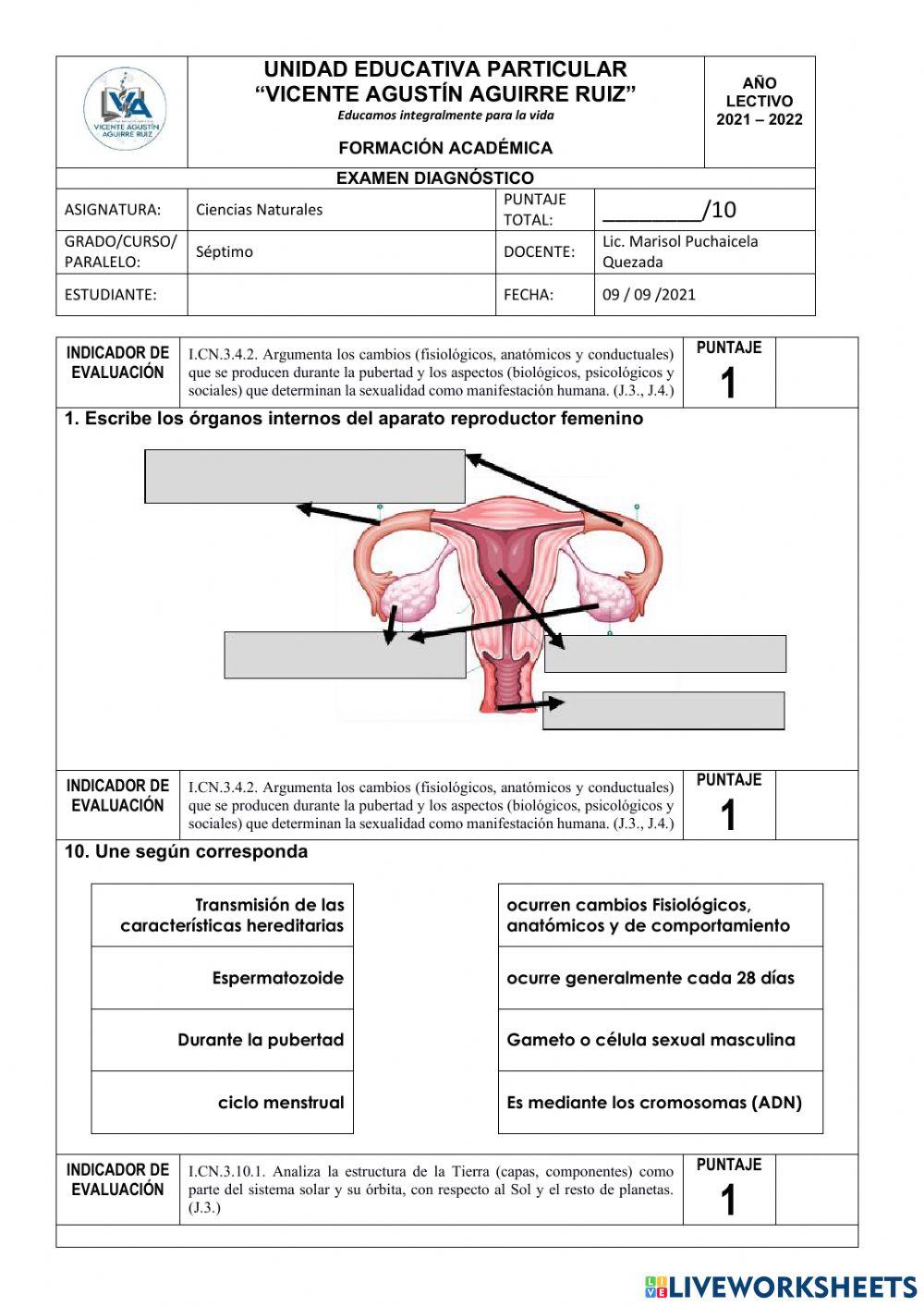 Diagnóstico Séptimo