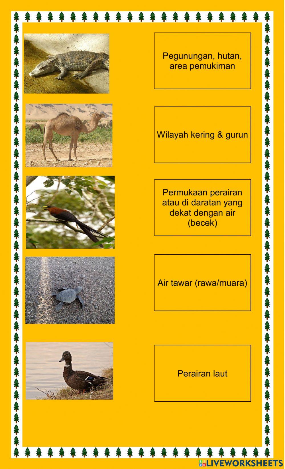 Lembar kegiatan belajar