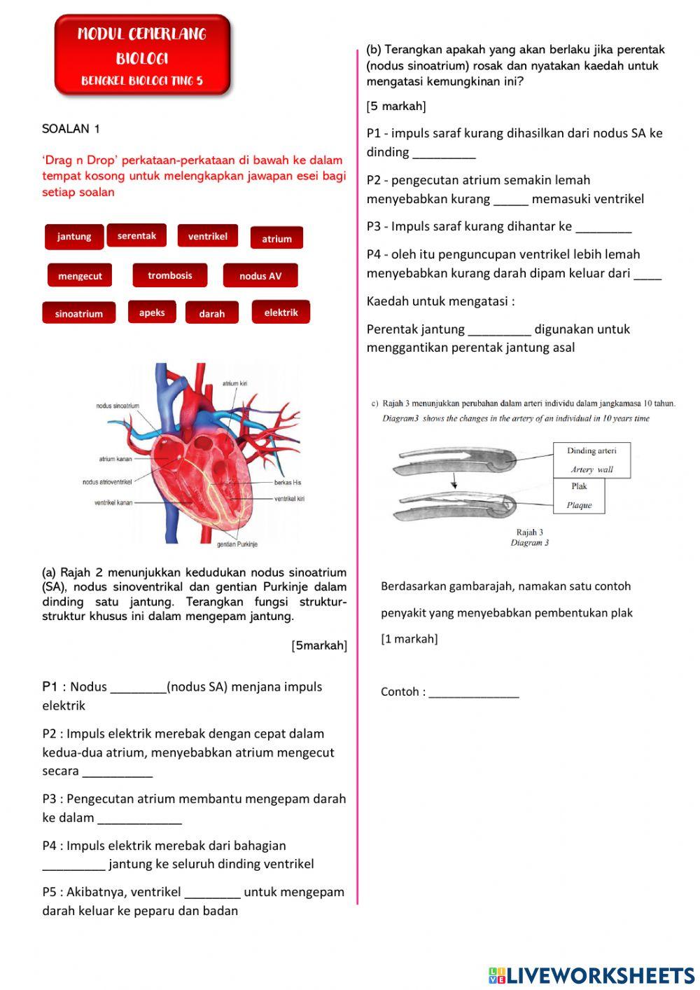 PKI Biologi Tingkatan 5 -Non DLP