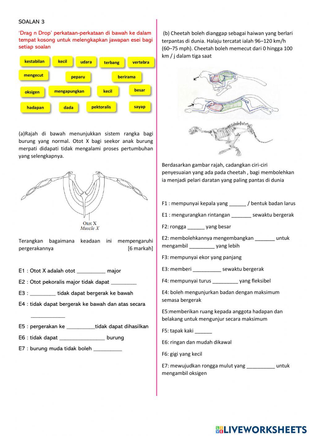 PKI Biologi Tingkatan 5 -Non DLP