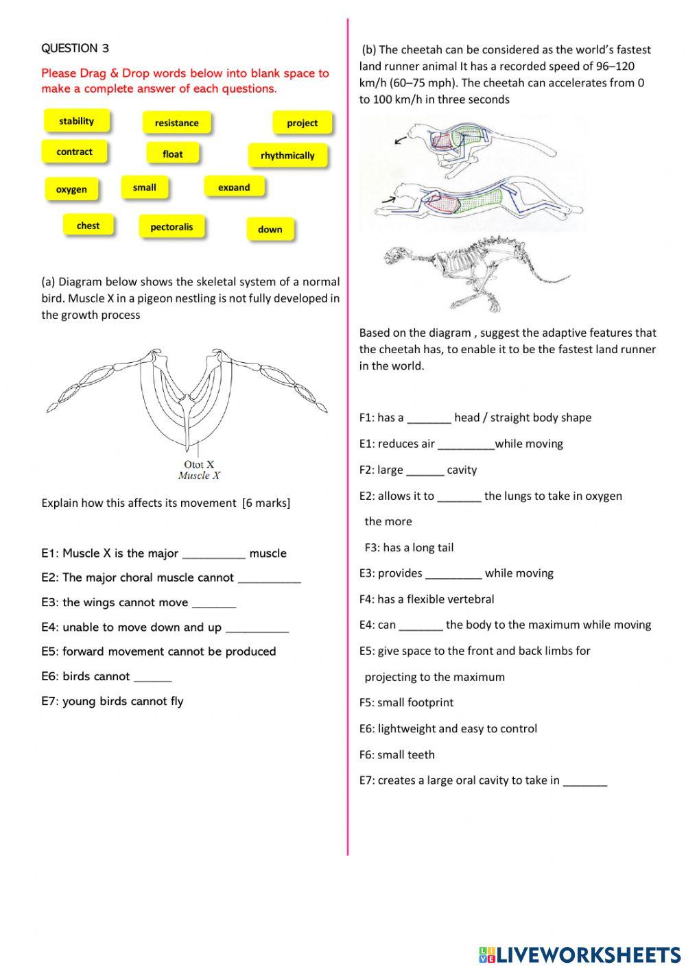PKI Biologi Tingkatan 5 - DLP