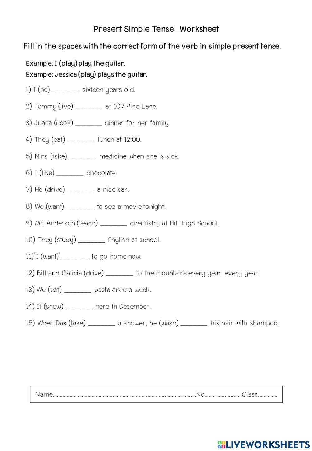 Present Simple Tense 1