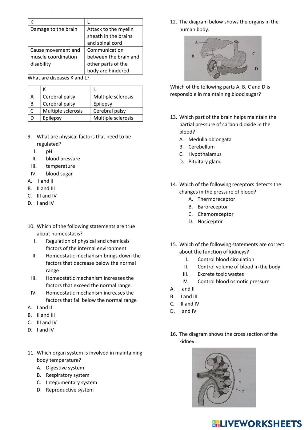 Form 4 biology chapter 12 and 13
