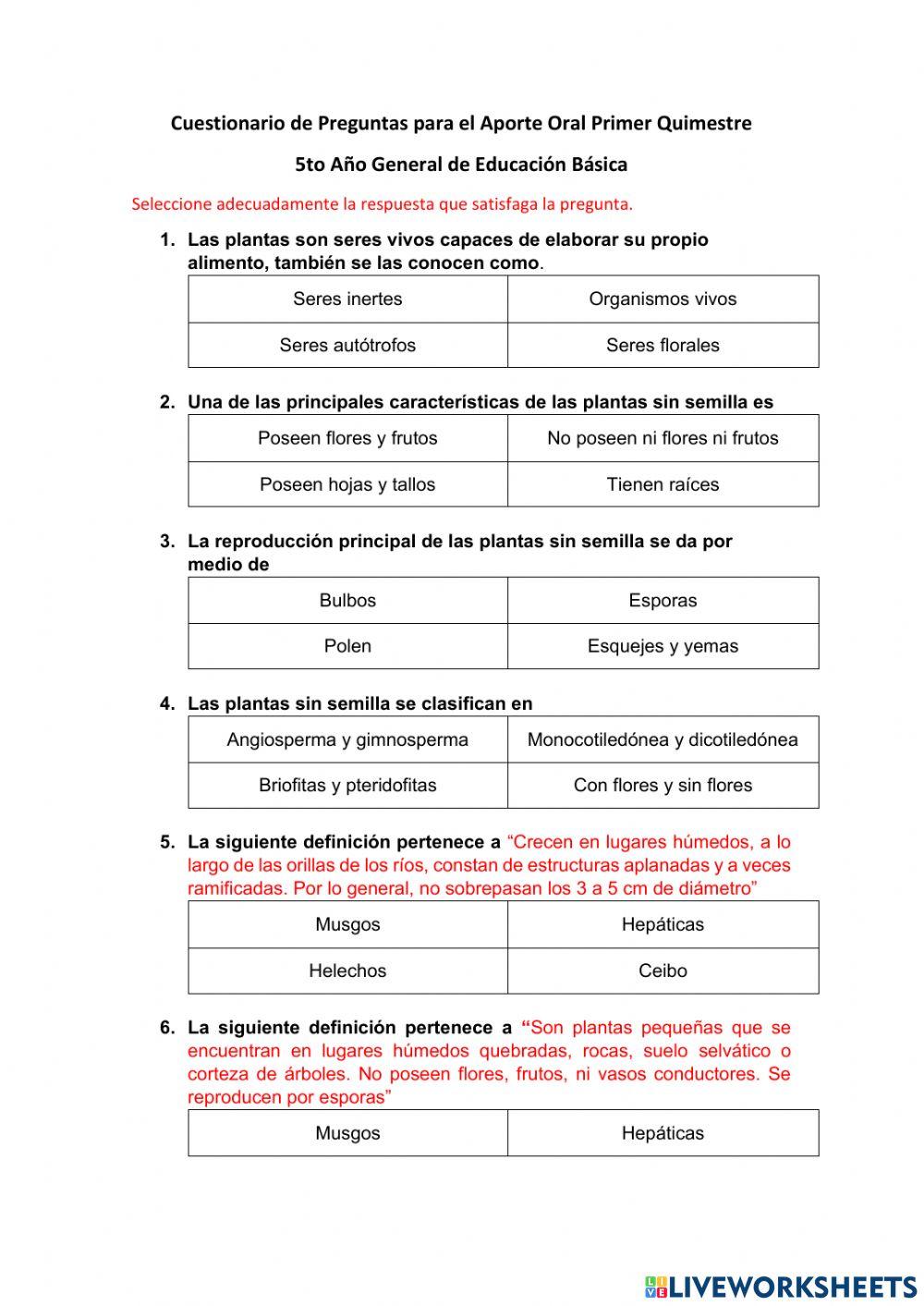 Cuestionario 1er Quimestre -to EGB
