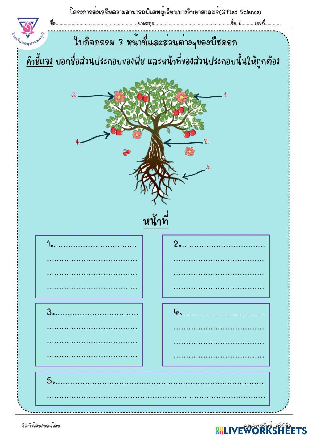 หน้าที่ส่วนประกอบของ ดอก
