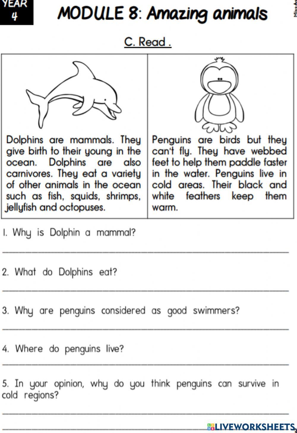 Year 4 English Amazing animal worksheet Live Worksheets