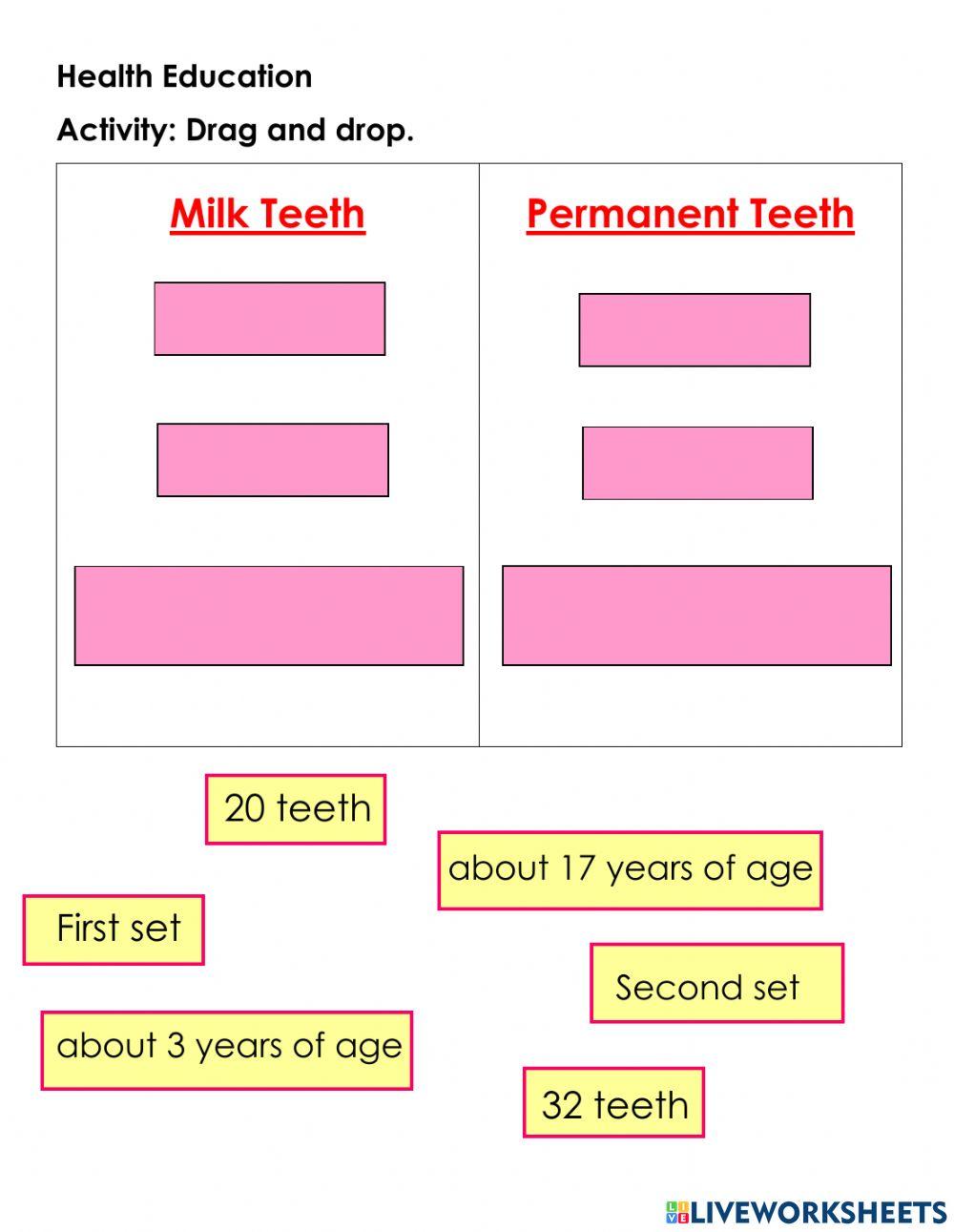 Teeth and Tooth Care Teeth and Tooth Care