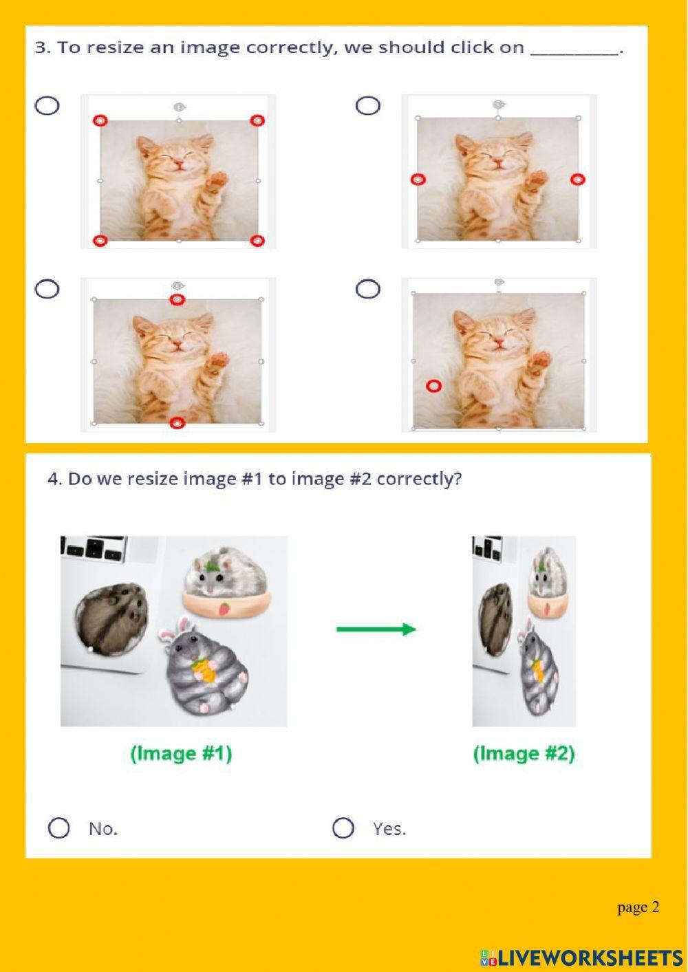 G5 - MS Word - Insert + Resize + Crop images