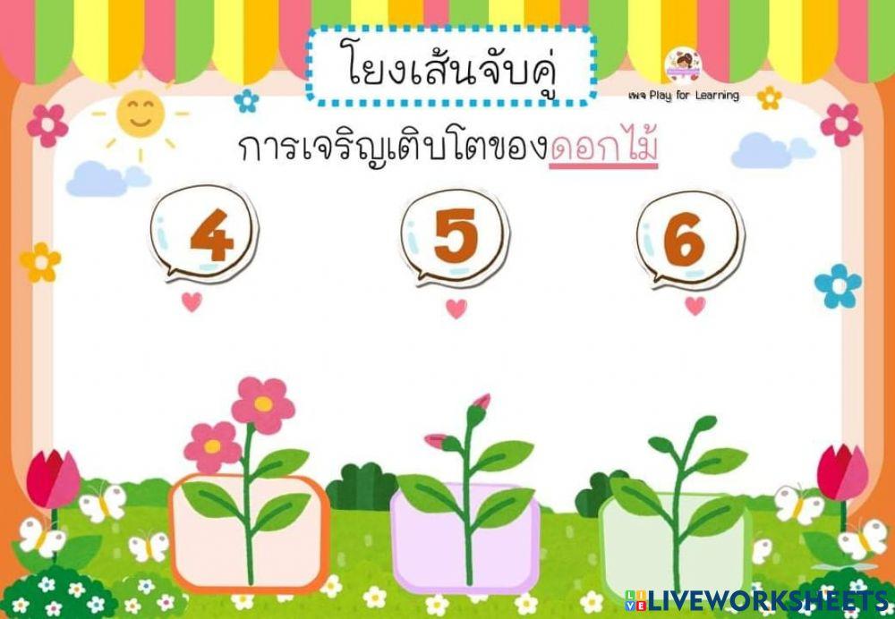 เรียงลำดับ