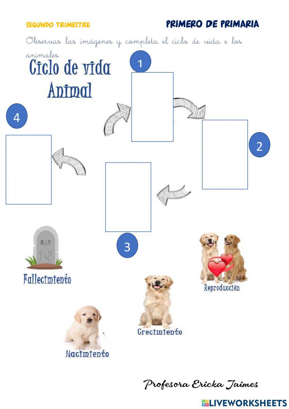 Examen de C, Naturales y Sociales