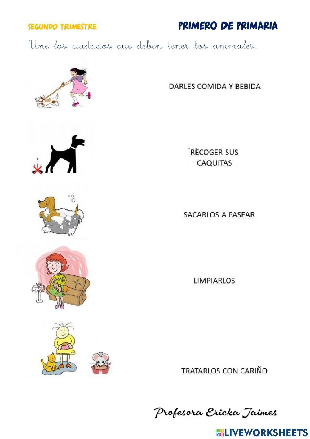 Examen de C, Naturales y Sociales