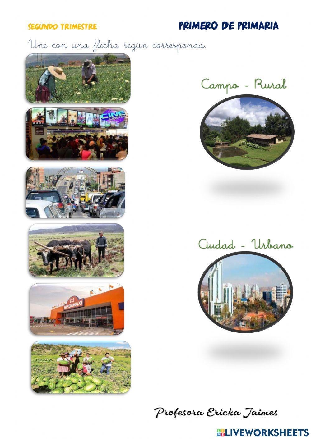 Examen de C, Naturales y Sociales