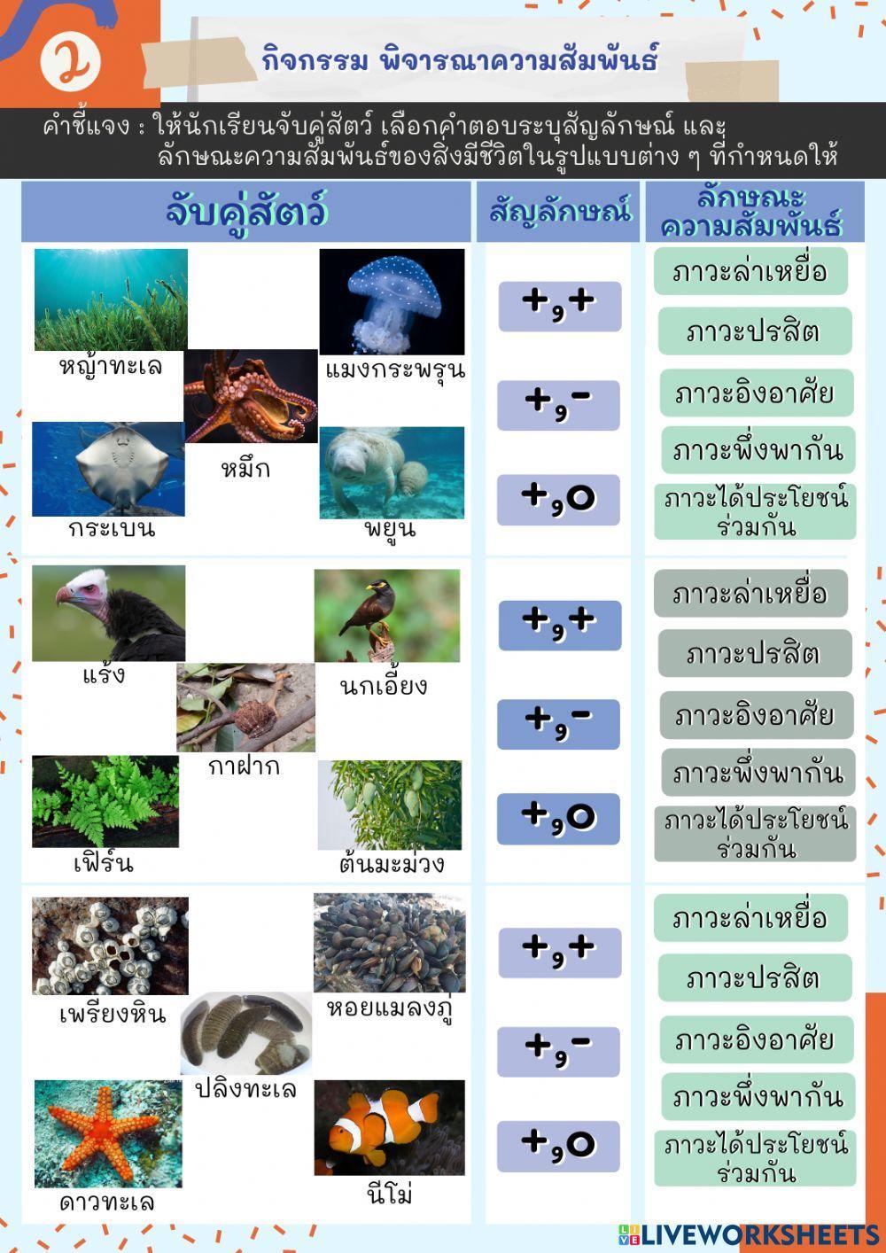 ความสัมพันธ์ระหว่างสิ่งมีชีวิตกับไม่มีชีวิต