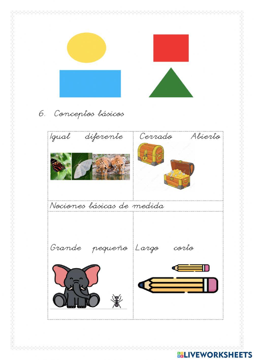 3I 1ªparte pruebas diagnósticas