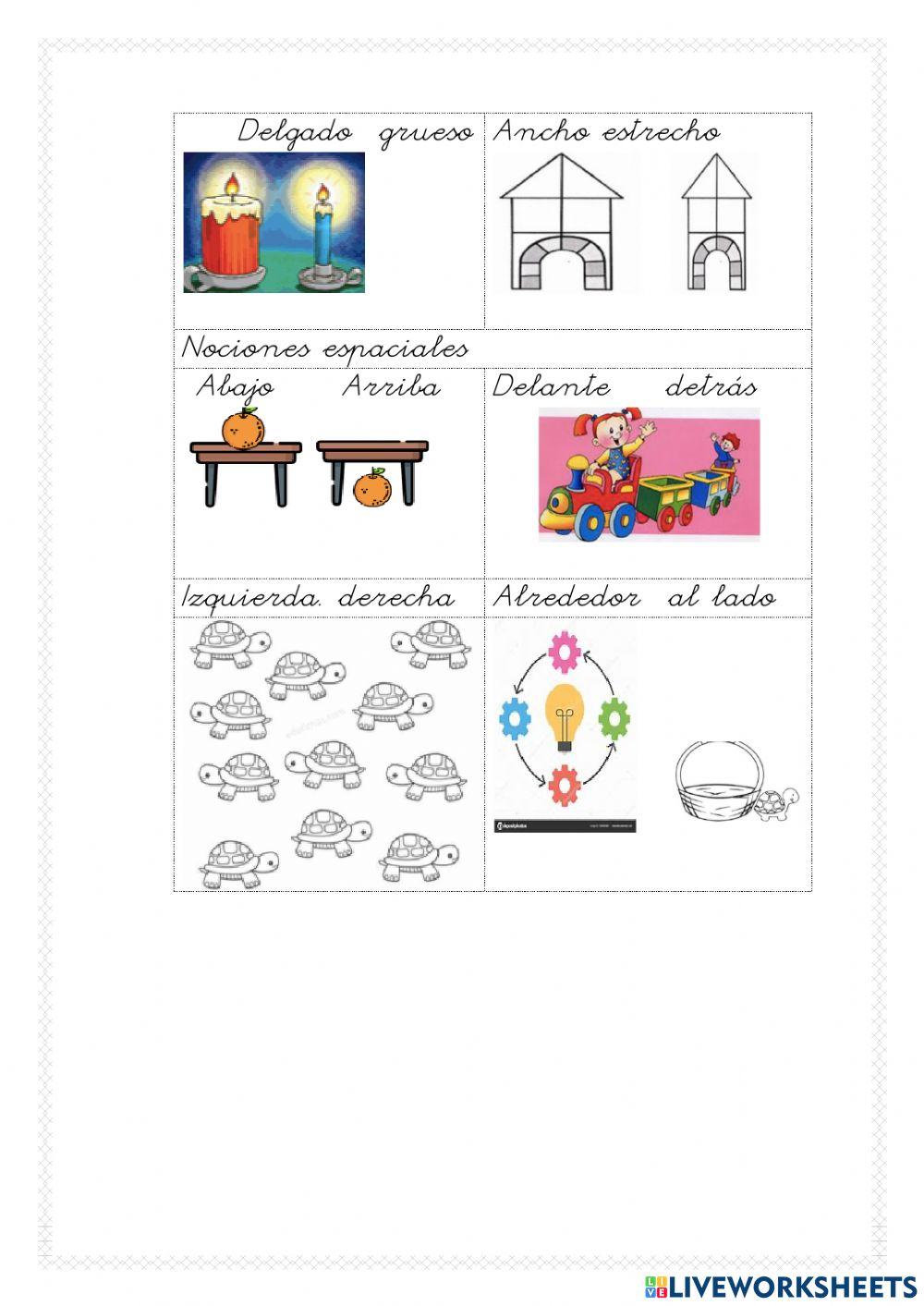 3I 1ªparte pruebas diagnósticas