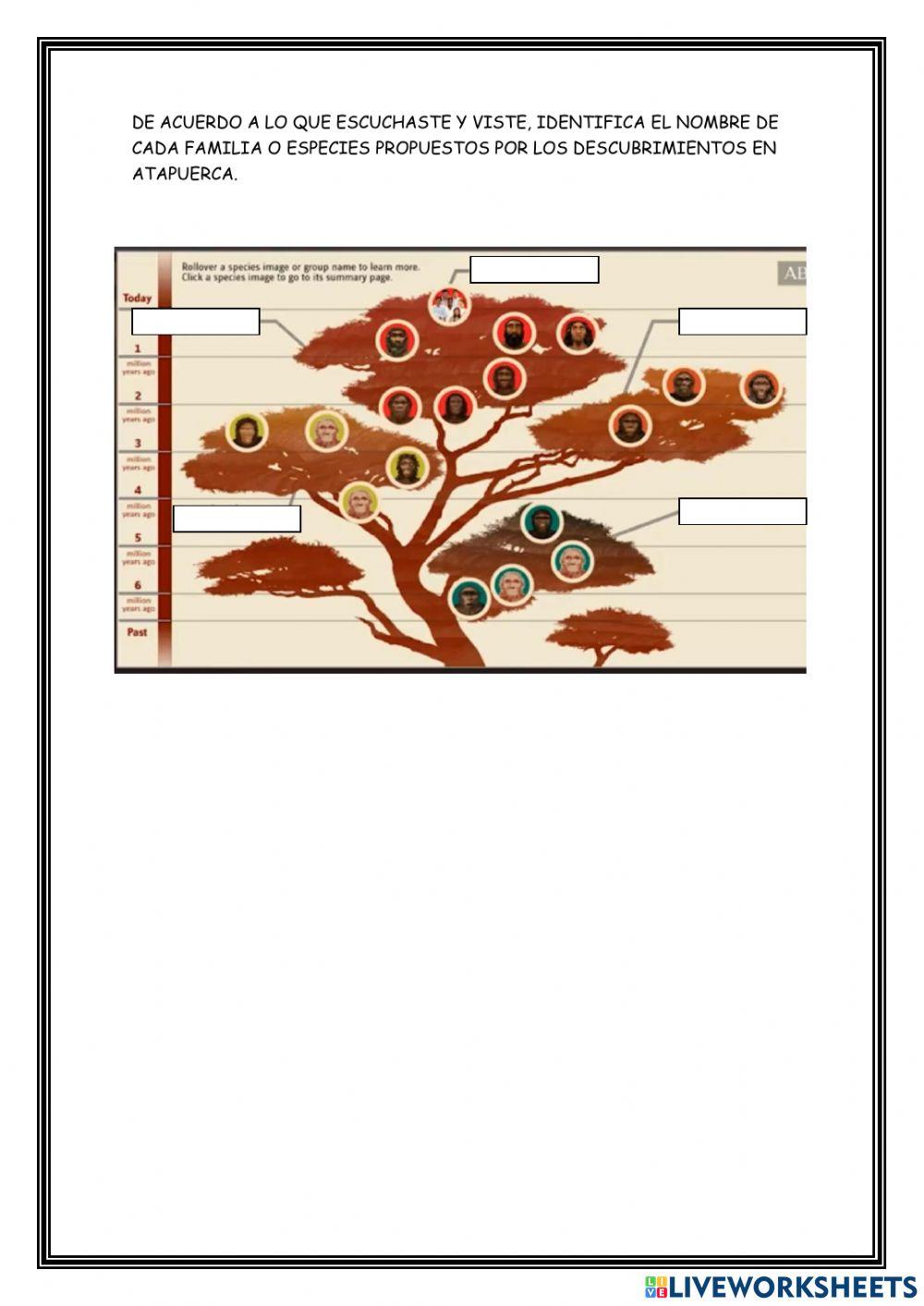 Evolución del Hombre