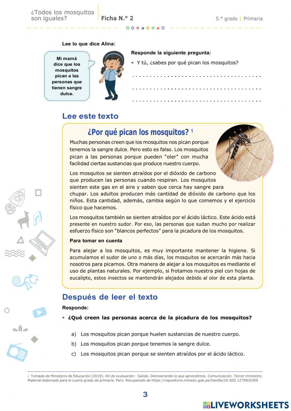 FICHA N° 2 - COMUNICACIÓN