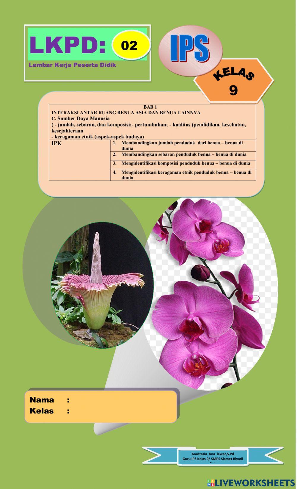 Lkpd 02  ips 9