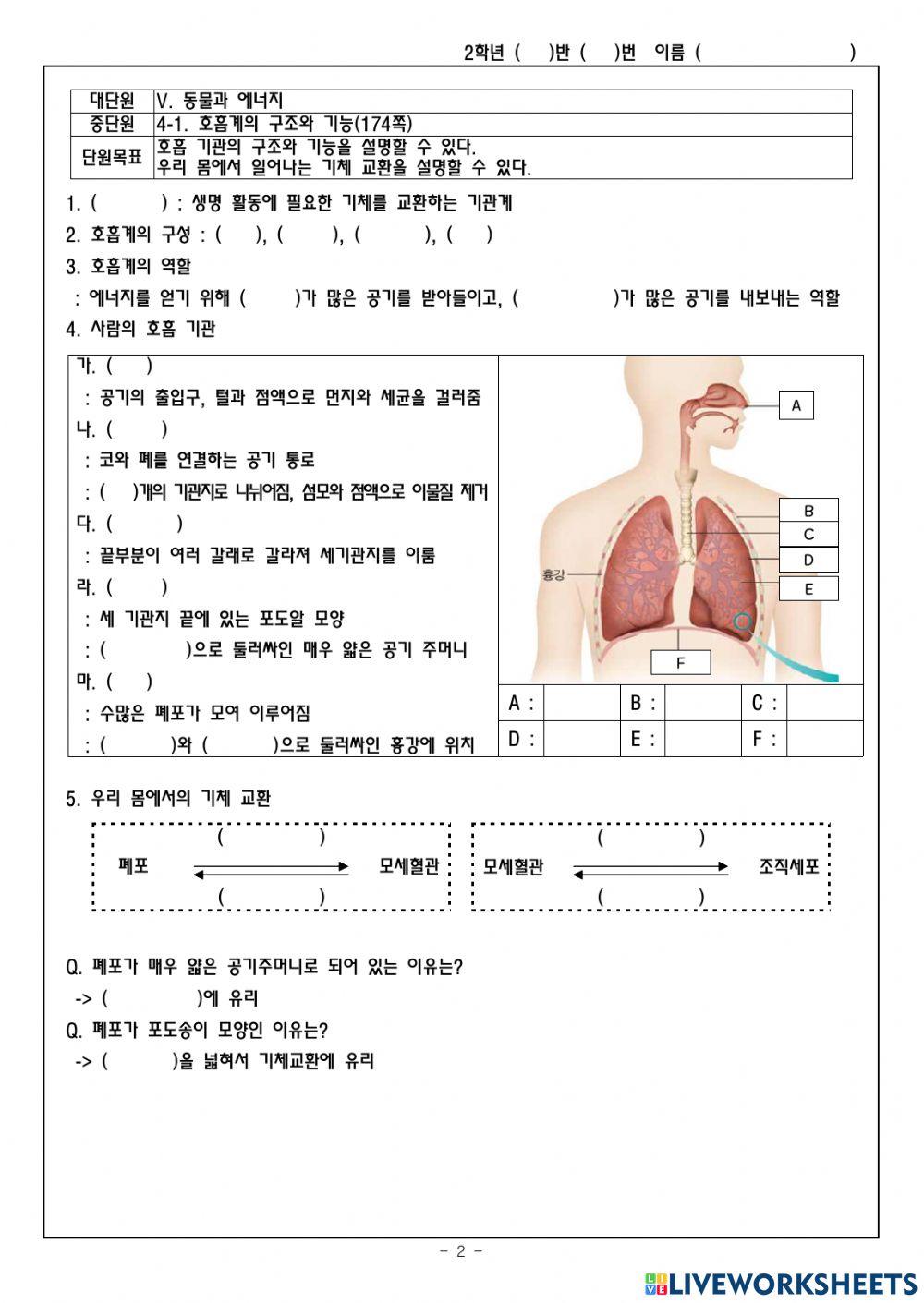 5-4-1.호흡계의 구조와 기능
