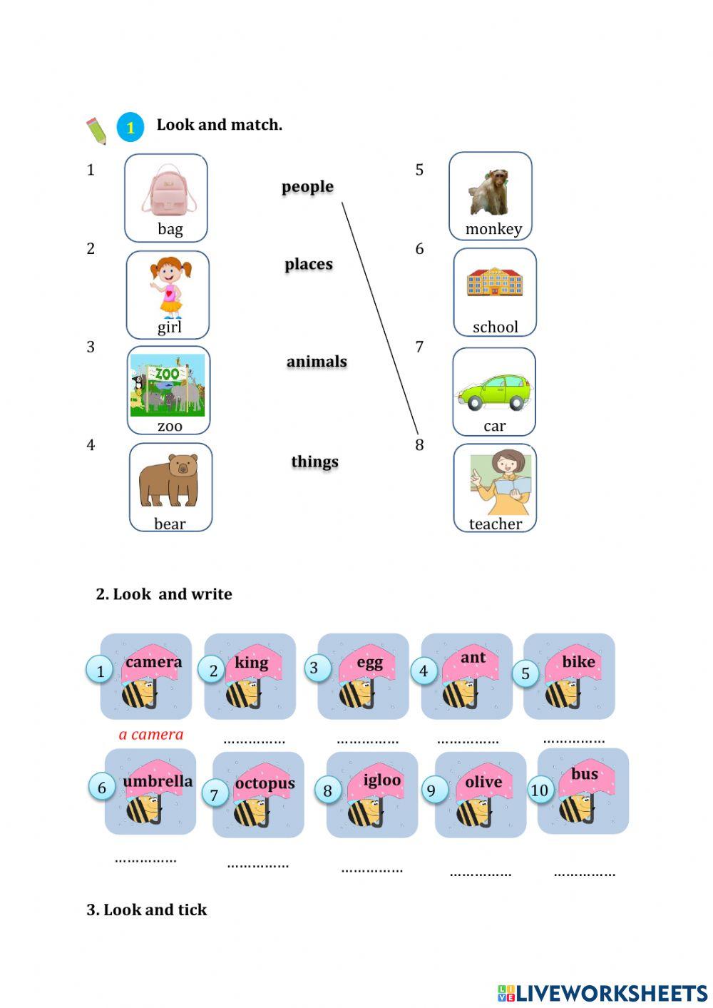 Grammar Unit 1 English 4