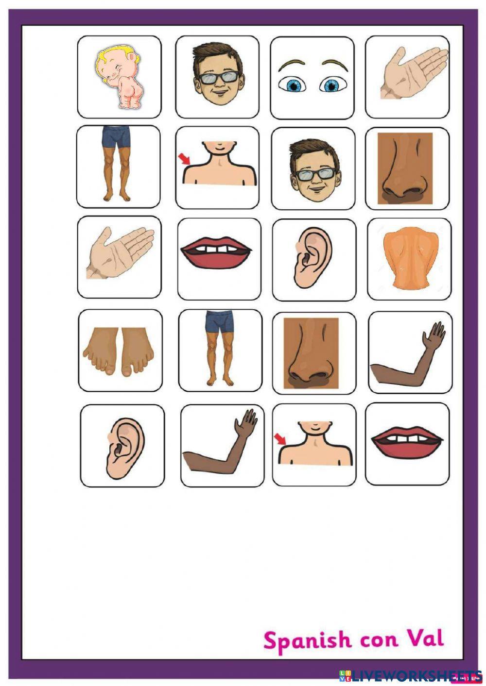 El cuerpo (rioplatense)