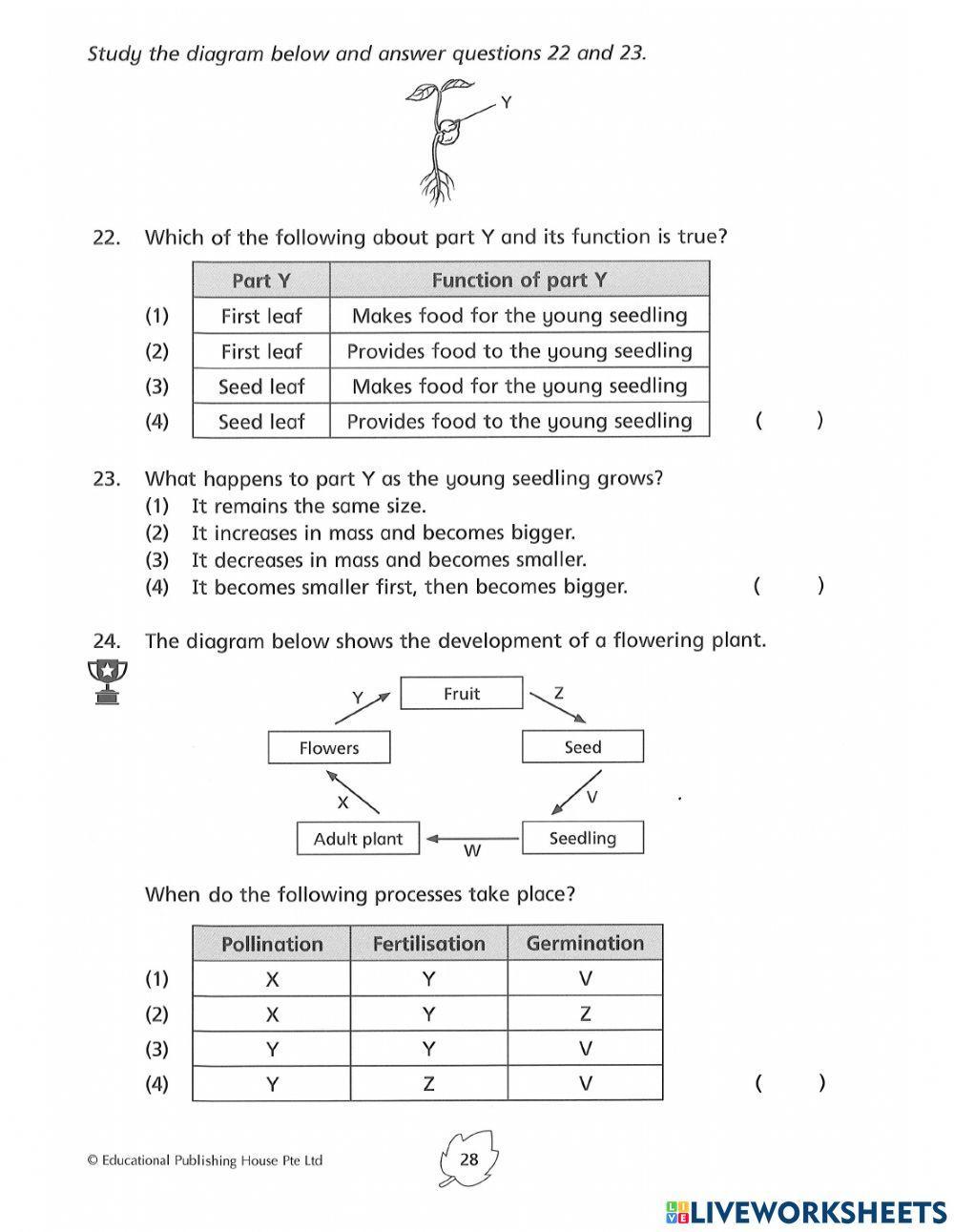 5E2 Reproduction in plants