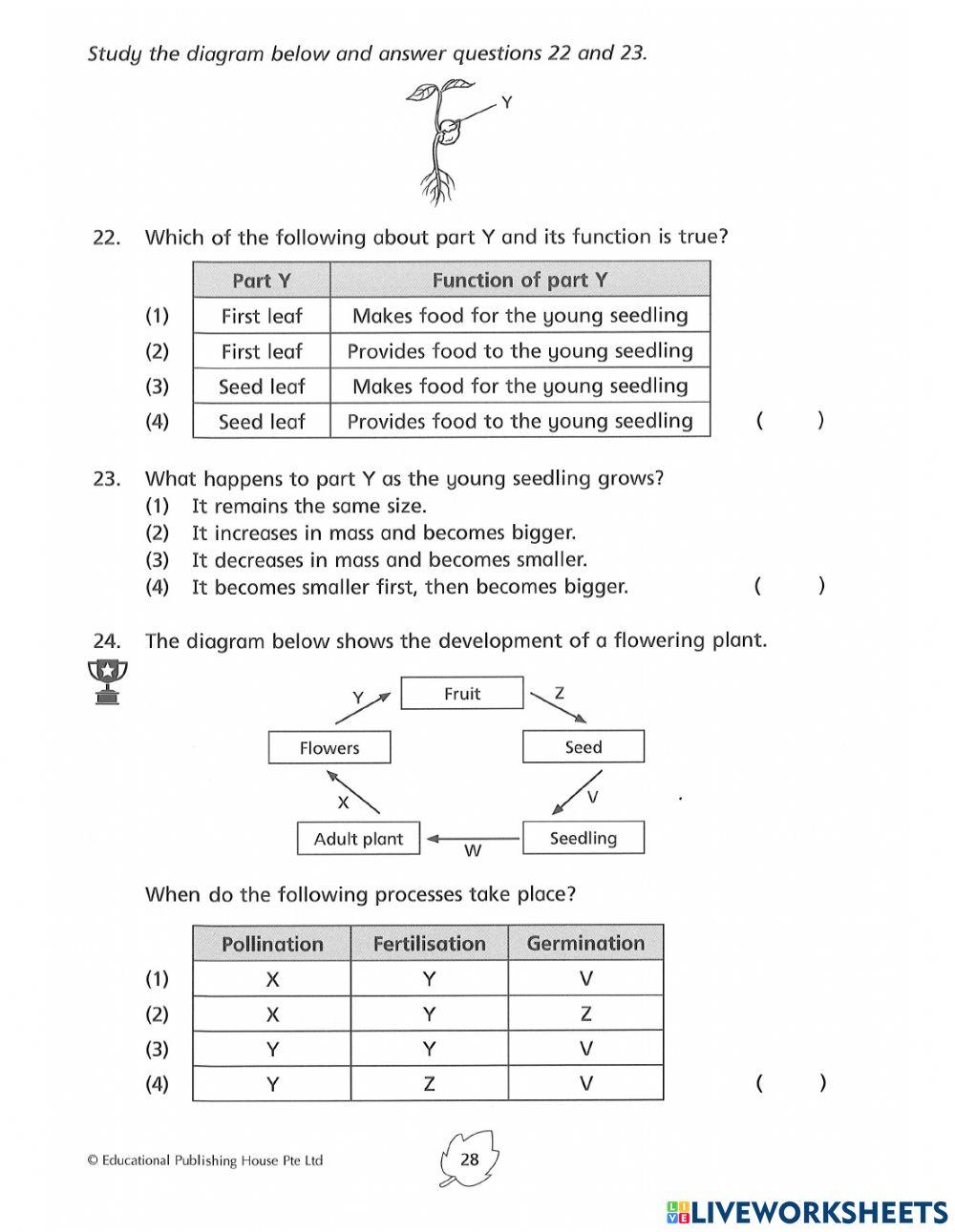 5E1 Reproduction in plants