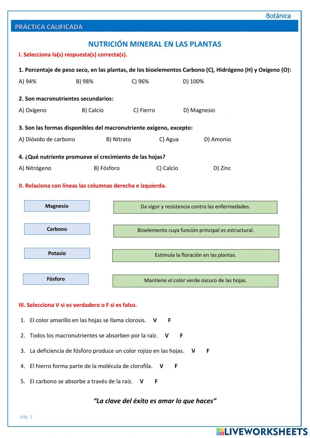 Nutrición mineral en las plantas