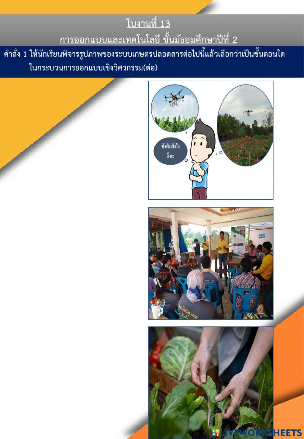 ใบงานที่ 13 ม.2