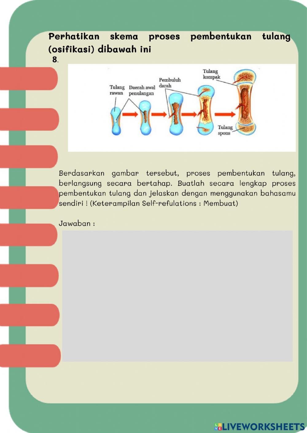 Test Sumatif sistem gerak pada makhluk hidup