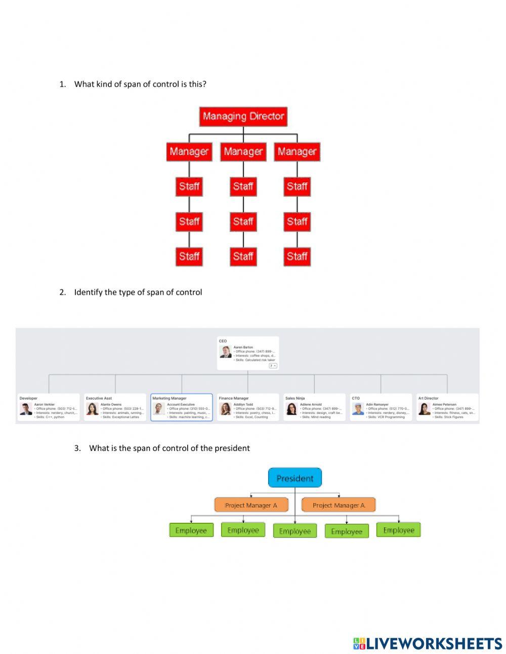 Span of control worksheet | Live Worksheets