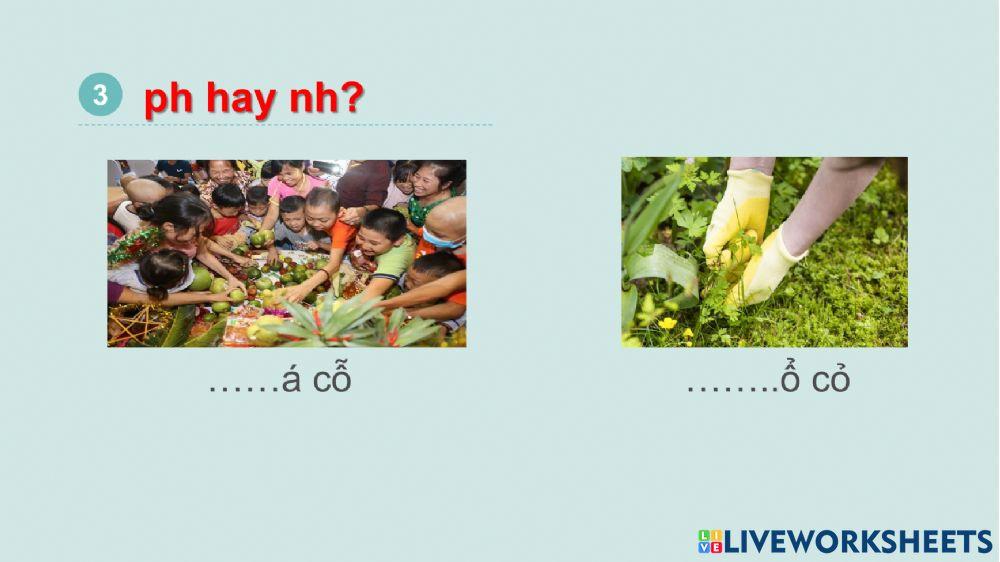 Ôn tập phụ âm đầu