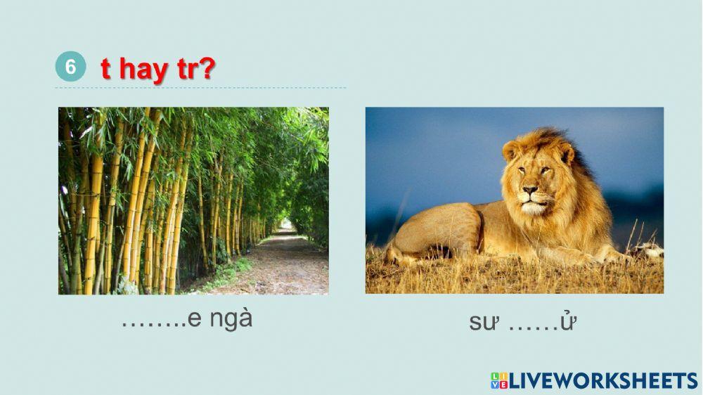 Ôn tập phụ âm đầu