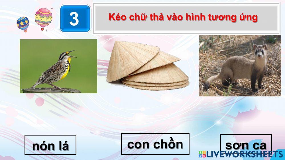 Ôn tập các vần có âm cuối -n-