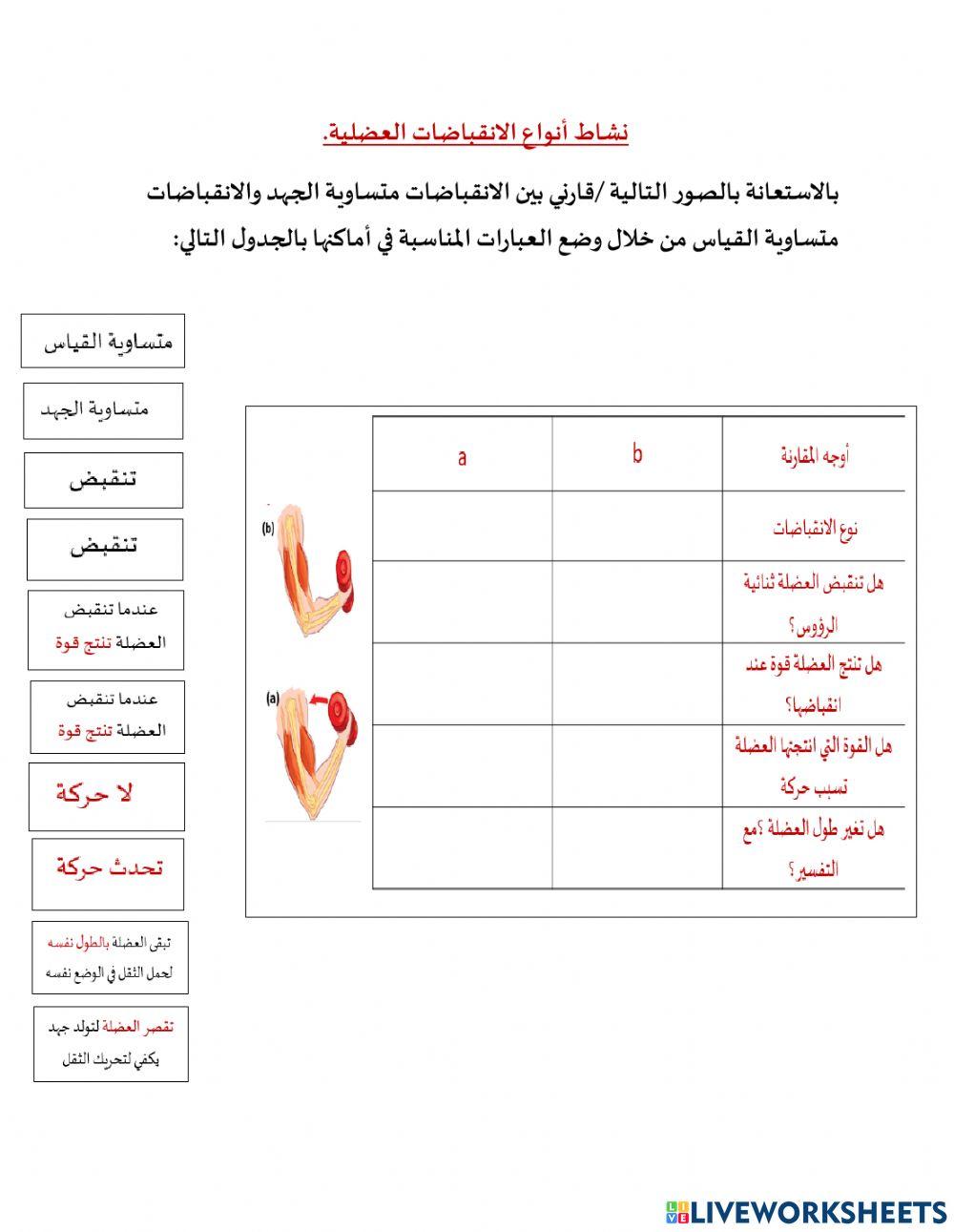 الانقباضات