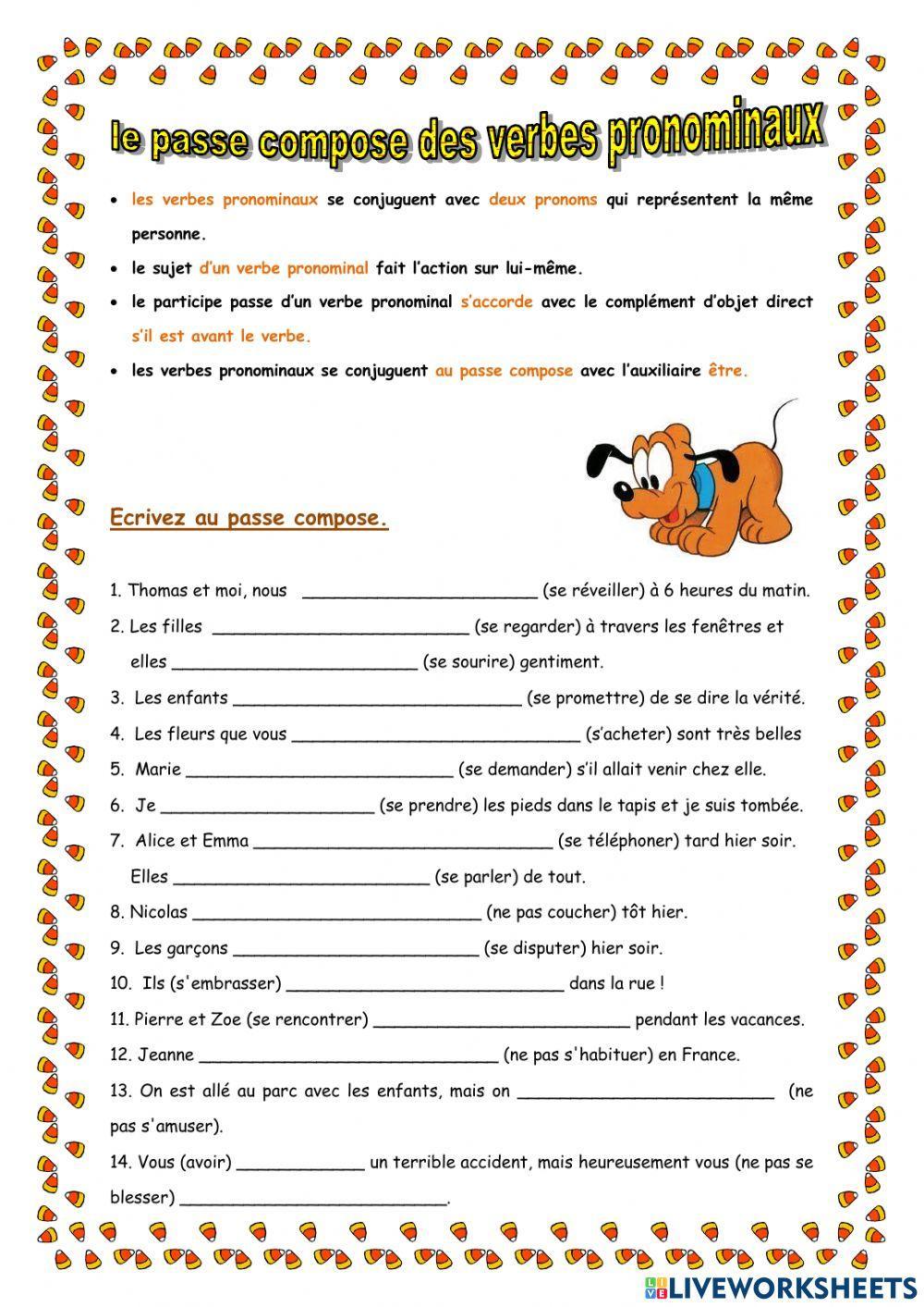 Verbes pronominaux passe compose