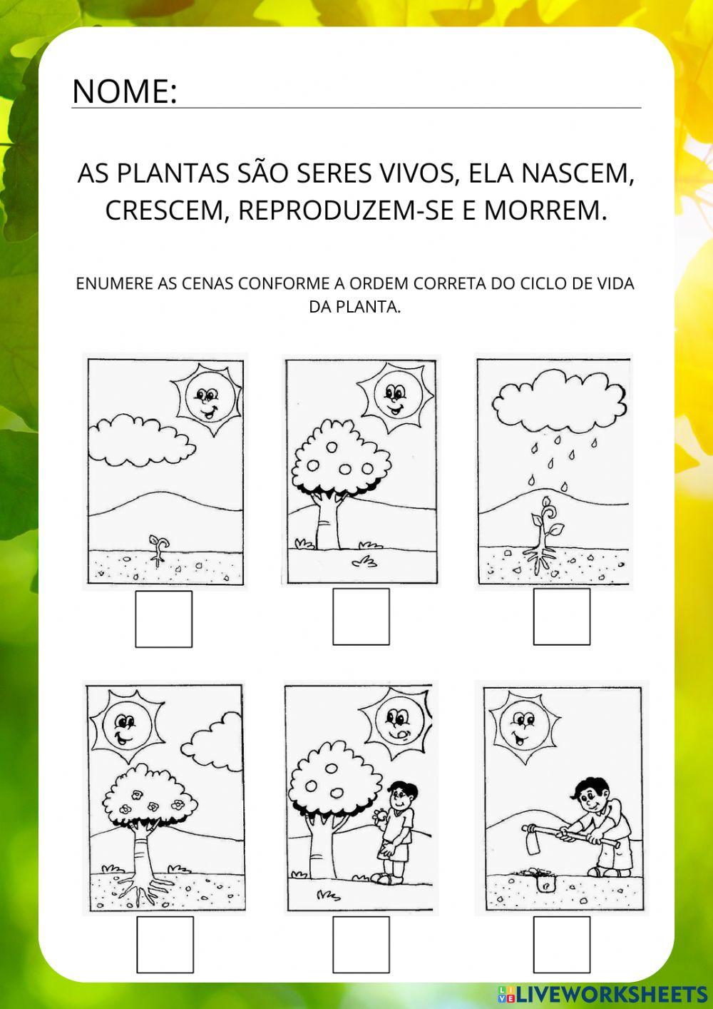 Ciclo de vida das plantas