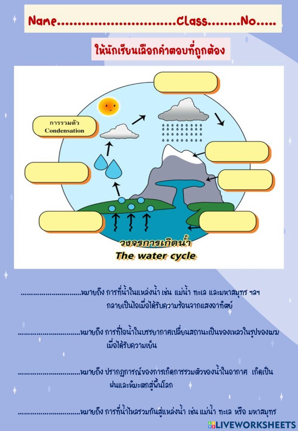 The Hydrologic Cycle Worksheet Answers