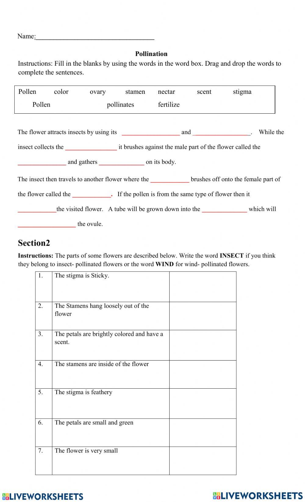 Pollination in Plants Worksheet