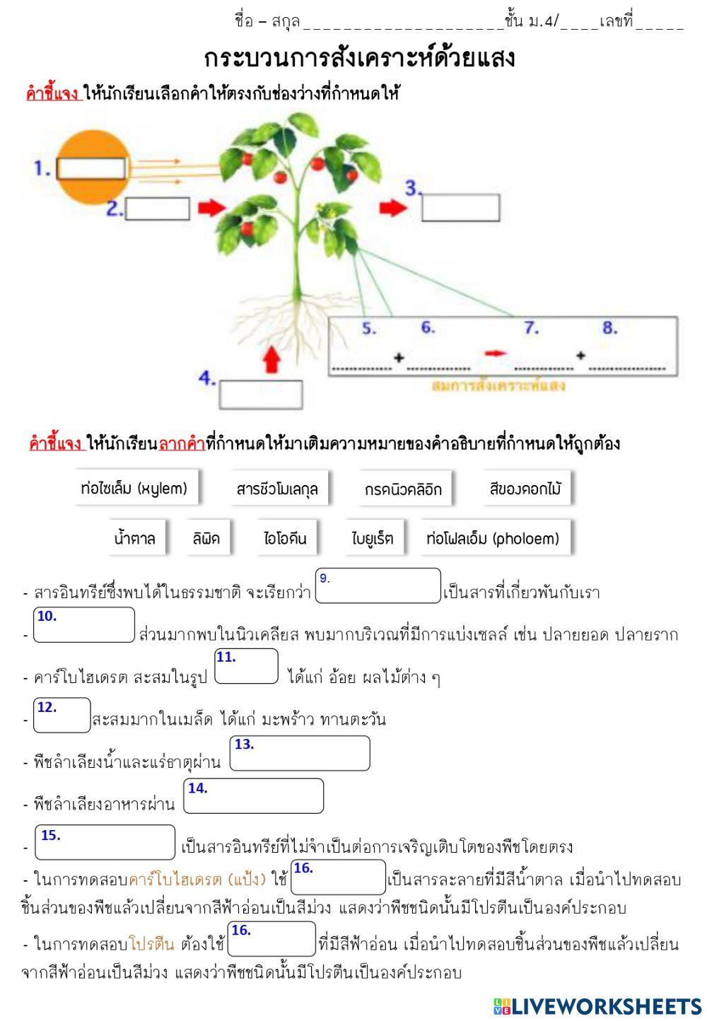 3 สารอินทรีย์